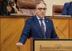    El consejero de la Presidencia de la Junta de Andaluca, Elas Bendodo, defiende la convalidacin de un decreto ley