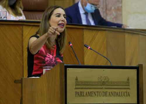  Beatriz Rubio, por el Grupo Socialista, presenta una mocin relativa a poltica general en materia de educacin y formacin profesional