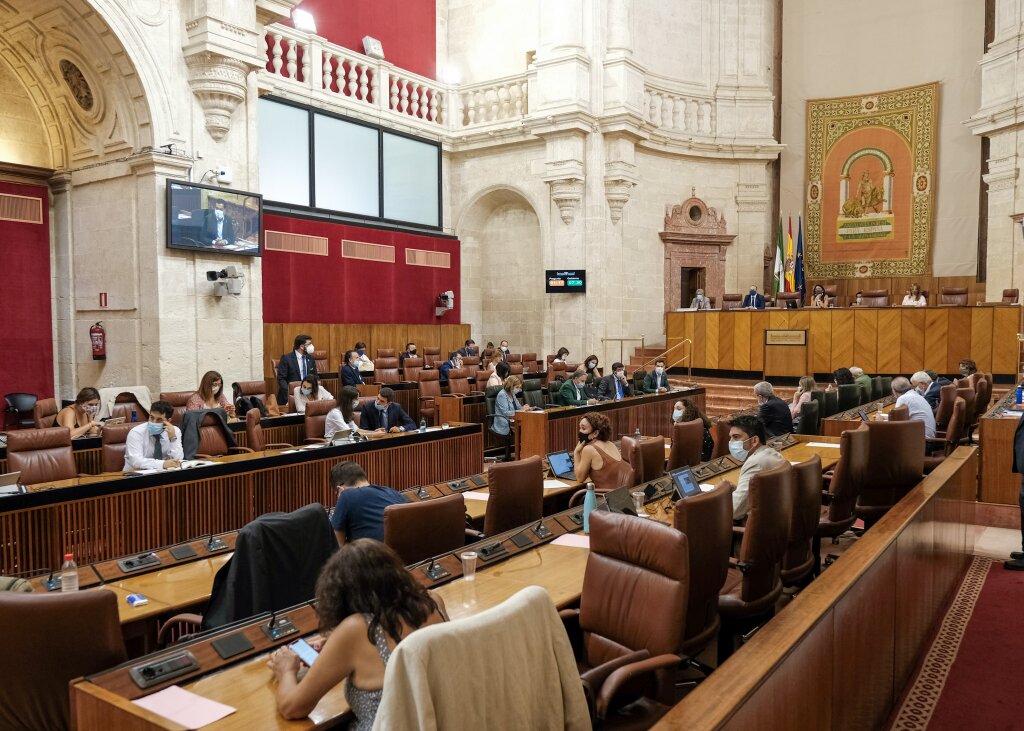 Sesin de control al Gobierno en la Cmara andaluza 