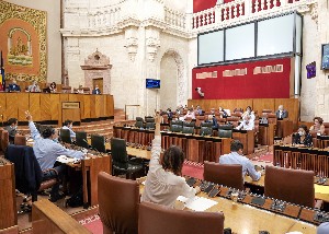   El Pleno del Parlamento, en una de las votaciones de la jornada