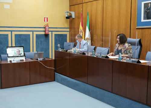   Intervencin telemtica de uno de los comparecientes en el Grupo de trabajo para cooperar en la conformacin de la posicin de Andaluca en el actual proceso de reforma de la PAC (PAC POST 2020)  