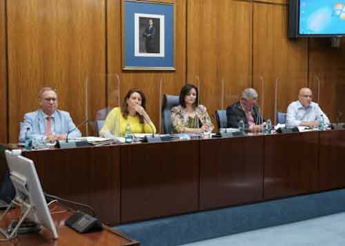  La Mesa de la Comisin de Agricultura, Ganadera, Pesca y Desarrollo Sostenible con la consejera, Carmen Crespo