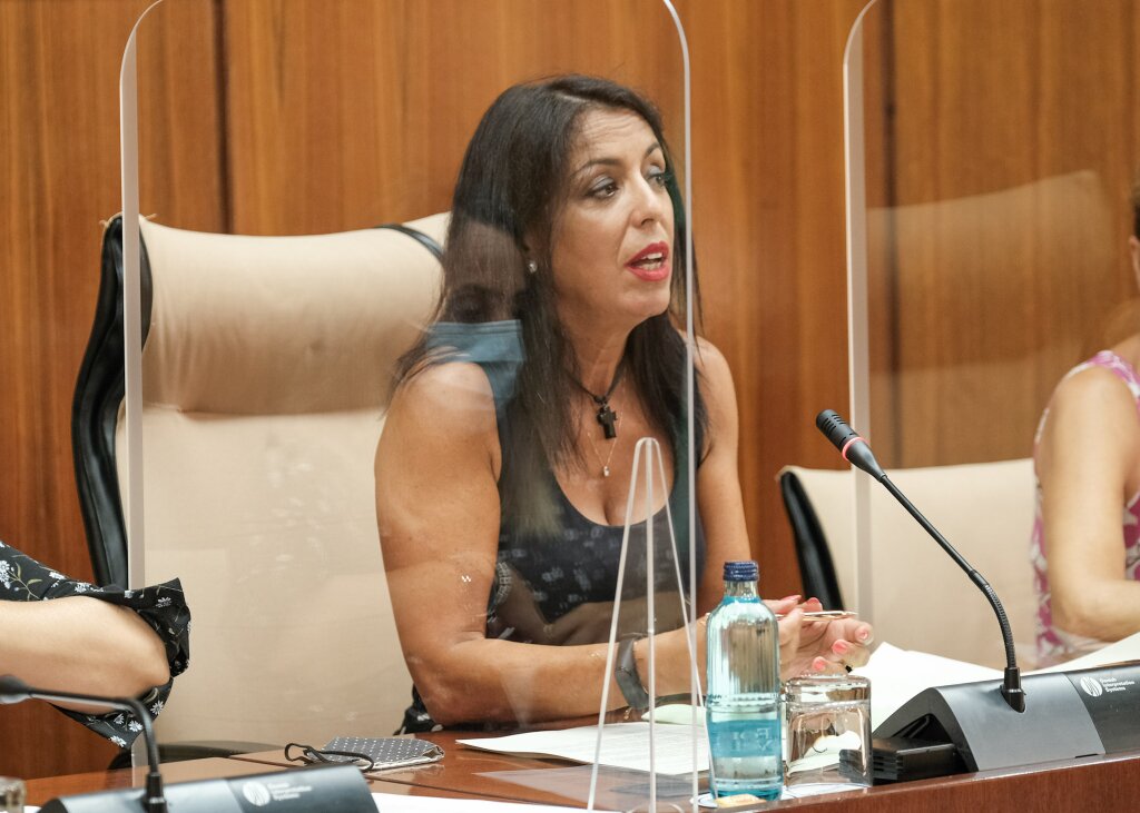  Marta Bosquet, presidenta del Parlamento, durante la sesin de la Diputacin Permanente del 25 de agosto