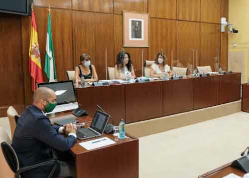 La Mesa de la Comisin de Igualdad, Polticas Sociales y Conciliacin con la consejera titular 