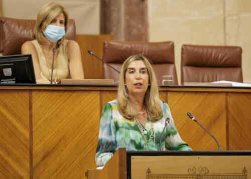 Manuela Serrano, del Grupo Socialista, argumenta la Proposicin no de Ley relativa a plan urgente de restauracin de la zona afectada del incendio del paraje de Olivargas de Almonaster la Real (Huelva)