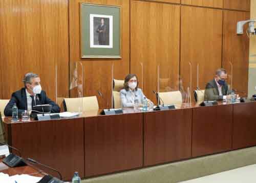  La Mesa de la Comisin Hacienda y Financiacin Europea durante la comparecencia del consejero Juan Bravo