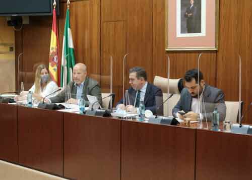 La Mesa de la Comisin de Educacin y Deporte y el consejero Javier Imbroda