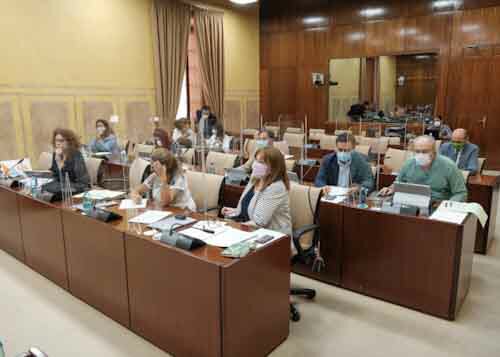  Diputados de la Comisin de Educacin y Deporte asisten a las comparecencias del da de hoy