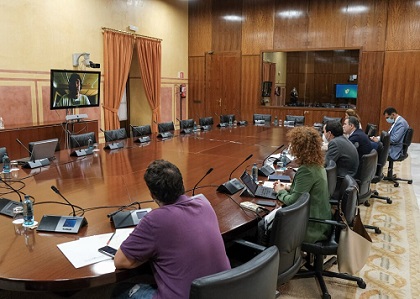   Comparecencia telemtica durante la sesin de hoy del Grupo de Trabajo para un pacto social por la Educacin en Andaluca