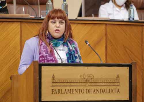 Mara Vanessa Garca, diputada no adscrita, defiende una enmienda 