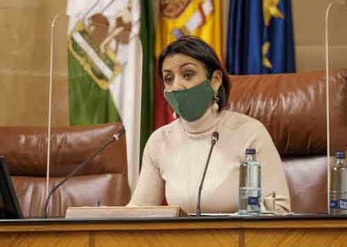   La presidenta del Parlamento de Andaluca, Marta Bosquet, da inicio a la sesin plenaria del debate final del Presupuesto para el prximo ao 