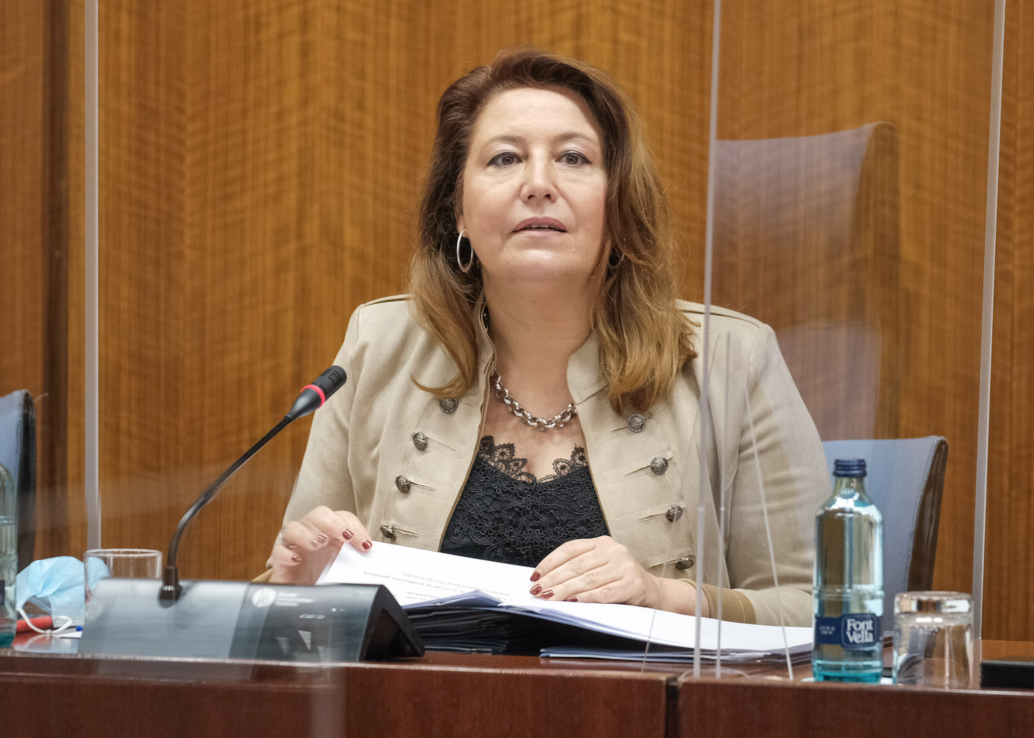   La consejera de Agricultura, Carmen Crespo, durante su comparecencia en la Comisin 
