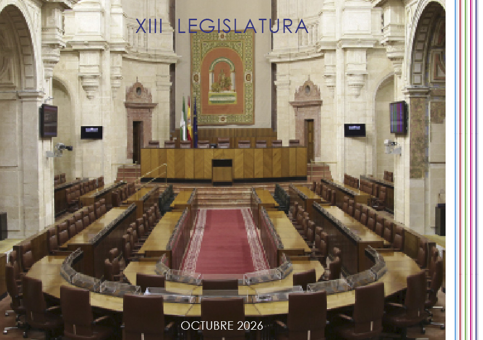 Pleno XIII Legislatura