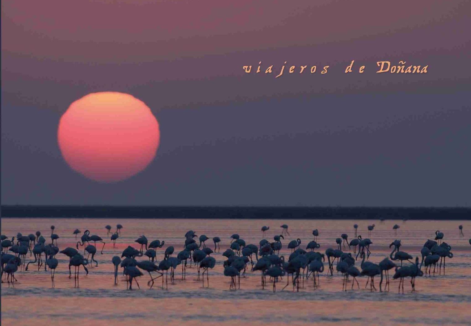 Viajeros de Doñana