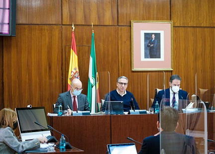  La mesa de la Comisin de Presidencia, Administracin Pblica e Interior durante la comparecencia del consejero, Elas Bendodo
