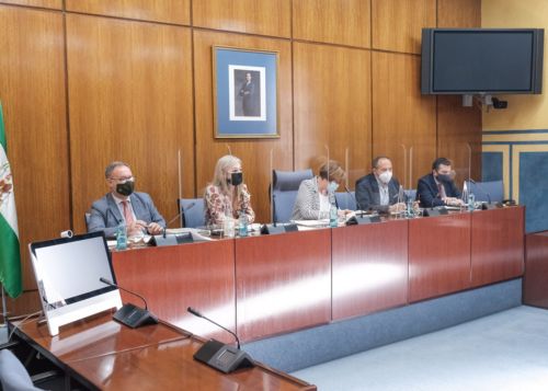  Mesa de la Comisin de Cultura durante la comparecencia de la consejera