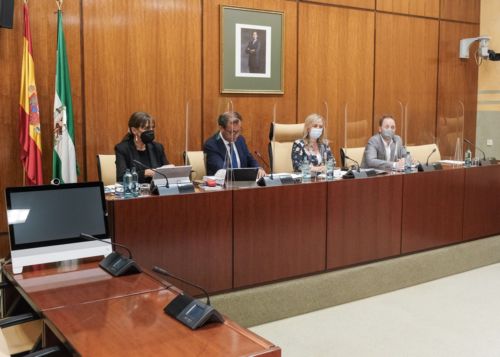  Mesa de la Comisin de Control de la RTVA y de sus Sociedades Filiales durante la comparecencia del director general de la RTVA