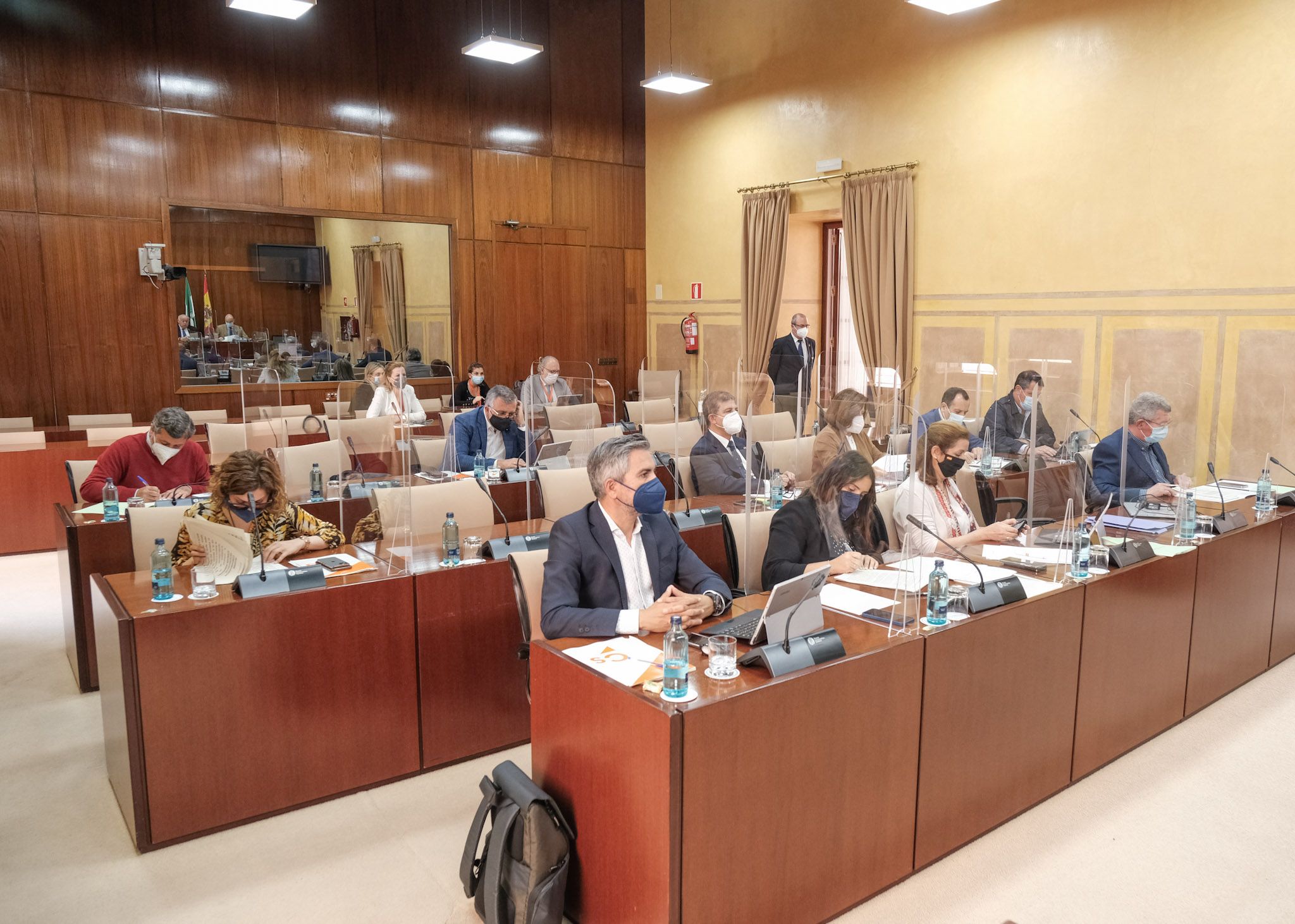  Diputados de la Comisin de Salud y Familias