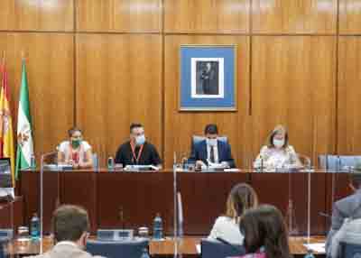   La Mesa de la Comisin de Investigacin FAFFE con los primeros comparecientes citados, representantes de la Unin de Sindicatos de Trabajadoras y Trabajadores en Andaluca (USTEA) 