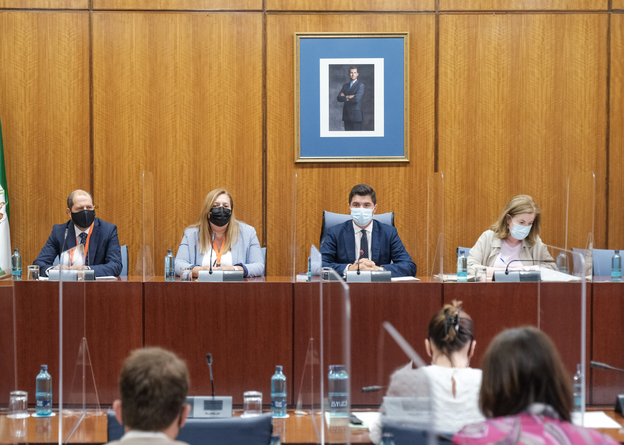 La Mesa de la Comisin de Investigacin FAFFE con la representante de UGT Andaluca  