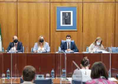 La Mesa de la Comisin de Investigacin FAFFE con la representante de UGT Andaluca  