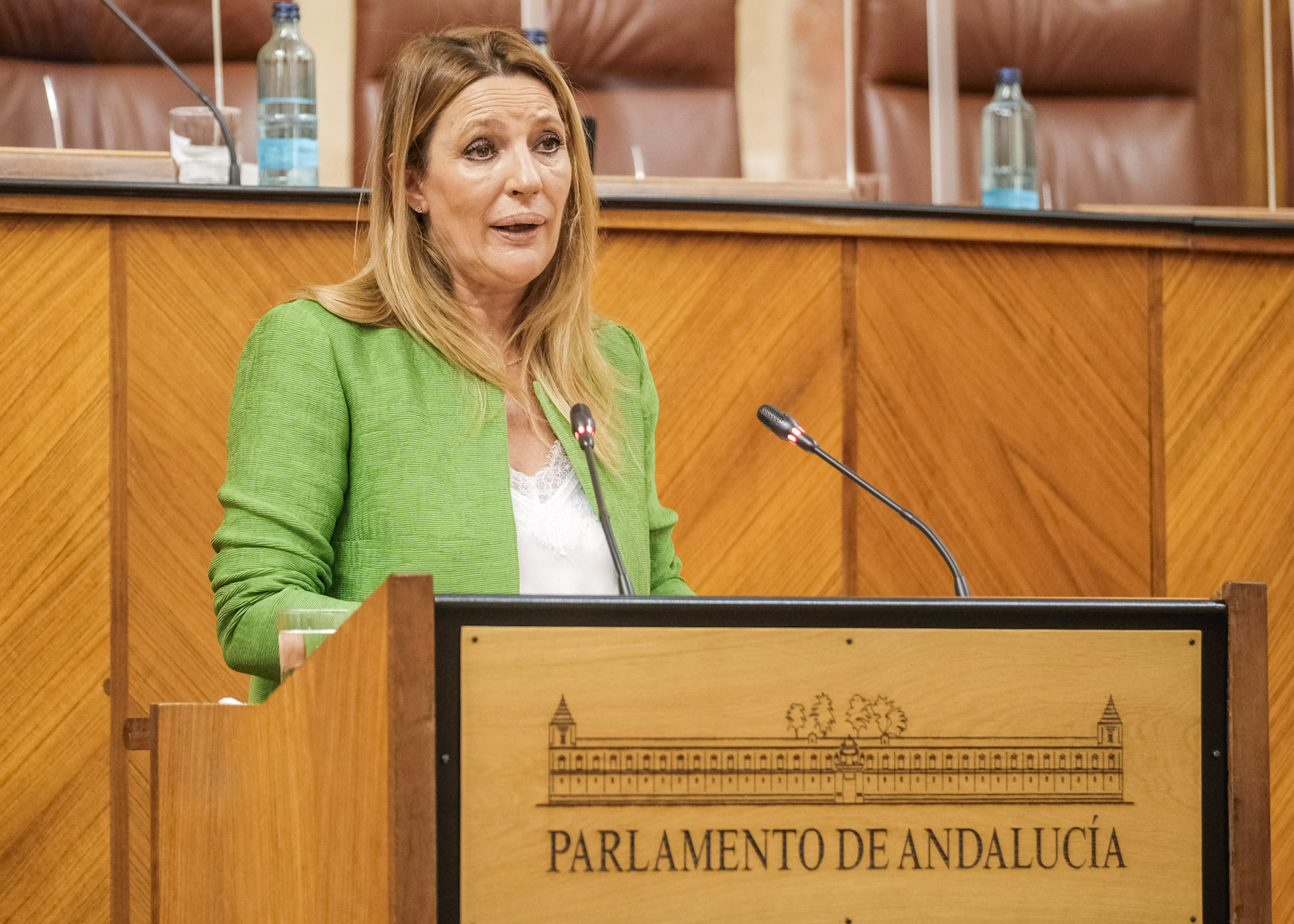 Por el Grupo Ciudadanos interviene Concepcin Gonzlez en el debate del decreto ley 