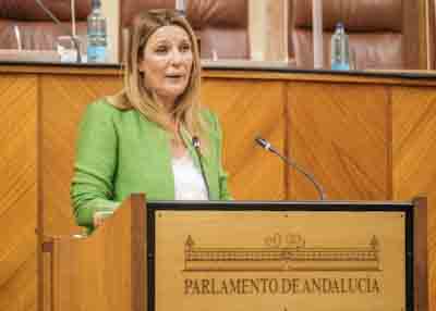 Por el Grupo Ciudadanos interviene Concepcin Gonzlez en el debate del decreto ley 