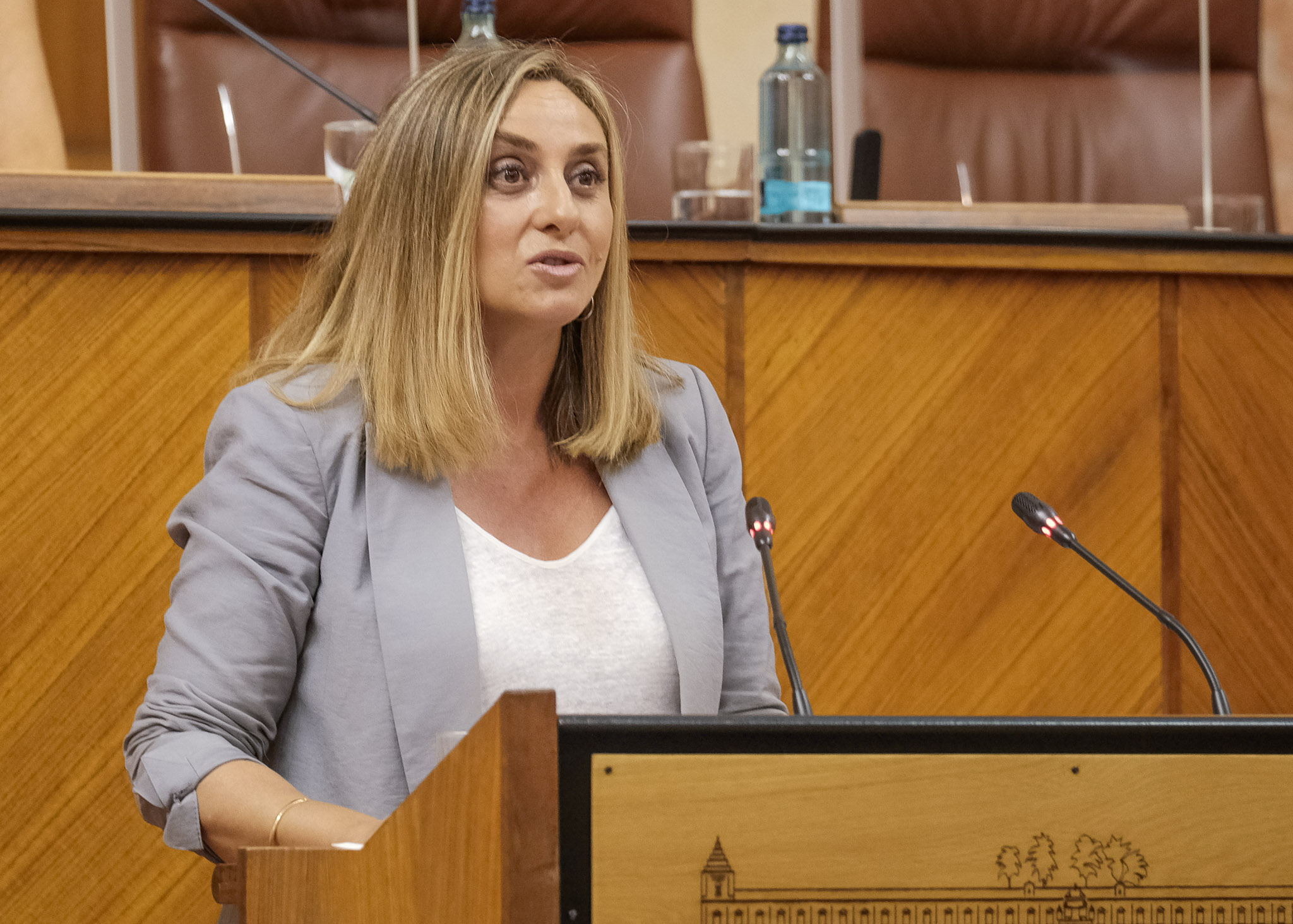  Marifrn Carazo, consejera de Fomento, Infraestructuras y Ordenacin del Territorio,  inicia el debate de totalidad del Proyecto de Ley de impulso para la Sostenibilidad del Territorio de Andaluca