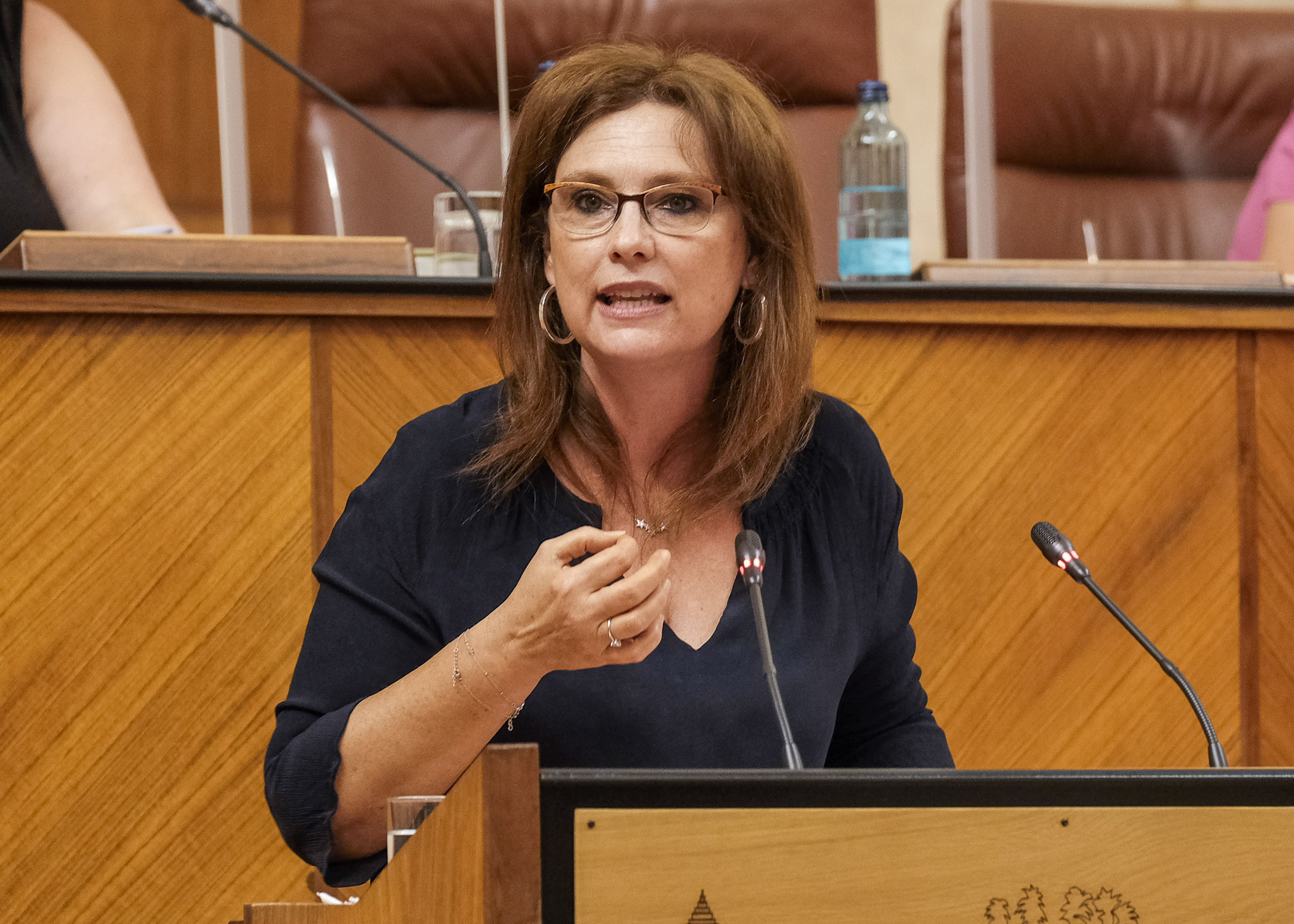  La diputada Mara del Mar Snchez, del Grupo Ciudadanos, designada para la defensa en el Congreso de los Diputados de la Proposicin de Ley relativa al reconocimiento de la gratuidad y universalidad del primer ciclo de la educacin infantil, en un momento de su intervencin en el Pleno de hoy