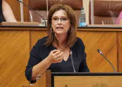  La diputada Mara del Mar Snchez, del Grupo Ciudadanos, designada para la defensa en el Congreso de los Diputados de la Proposicin de Ley relativa al reconocimiento de la gratuidad y universalidad del primer ciclo de la educacin infantil, en un momento de su intervencin en el Pleno de hoy