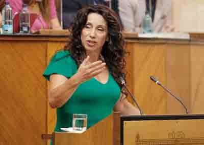 La consejera de Igualdad, Polticas Sociales y Conciliacin, Roco Ruiz, durante su intervencin en el debate final del Proyecto de Ley de Infancia y Adolescencia de Andaluca