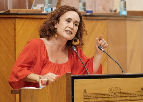  Por el G.p. Unidas Podemos por Andaluca interviene Ana Mara Naranjo en el debate con el consejero de Educacin