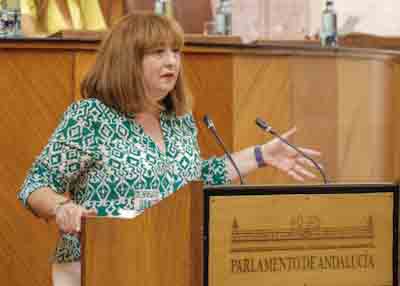 Mara Soledad Prez presenta la proposicin no de ley del Grupo Socialista relativa a limpieza y desinfeccin de los centros escolares andaluces  
