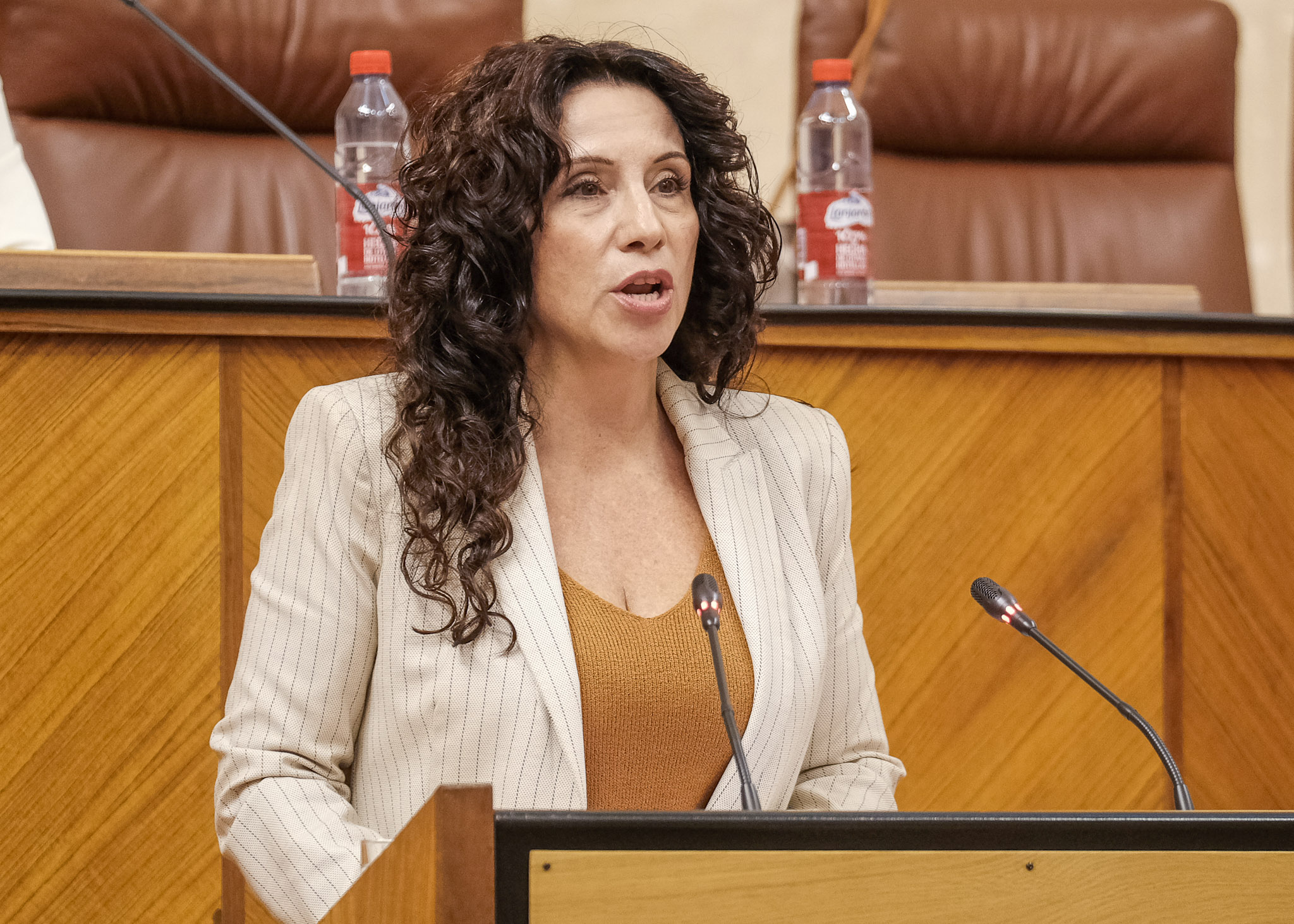   Roco Ruiz, consejera de Igualdad, Polticas Sociales y Conciliacin, interviene en el debate del proyecto de ley por el que se regulan los perros de asistencia a personas con discapacidad en Andaluca