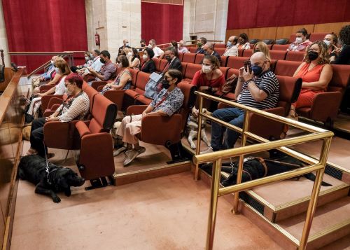  Personas con discapacidad acompaadas de sus perros de asistencia siguen el debate sobre el proyecto de ley desde la tribuna de pblico