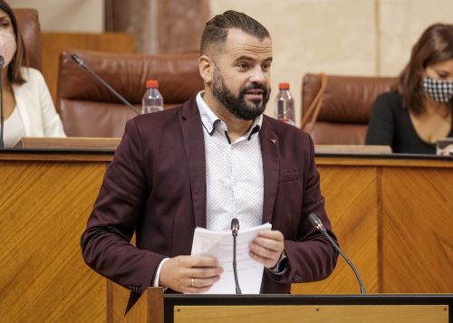  Jess Fernndez interviene en el debate del proyecto de ley como portavoz de Unidad Podemos por Andaluca 