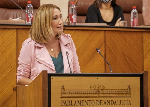  Por el Grupo Socialista interviene Carmen D. Velasco en el debate sobre la regulacin de los perros de asistencia a personas con discapacidad