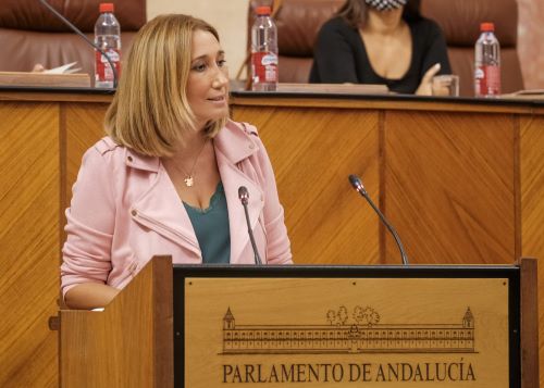  Por el Grupo Socialista interviene Carmen D. Velasco en el debate sobre la regulacin de los perros de asistencia a personas con discapacidad