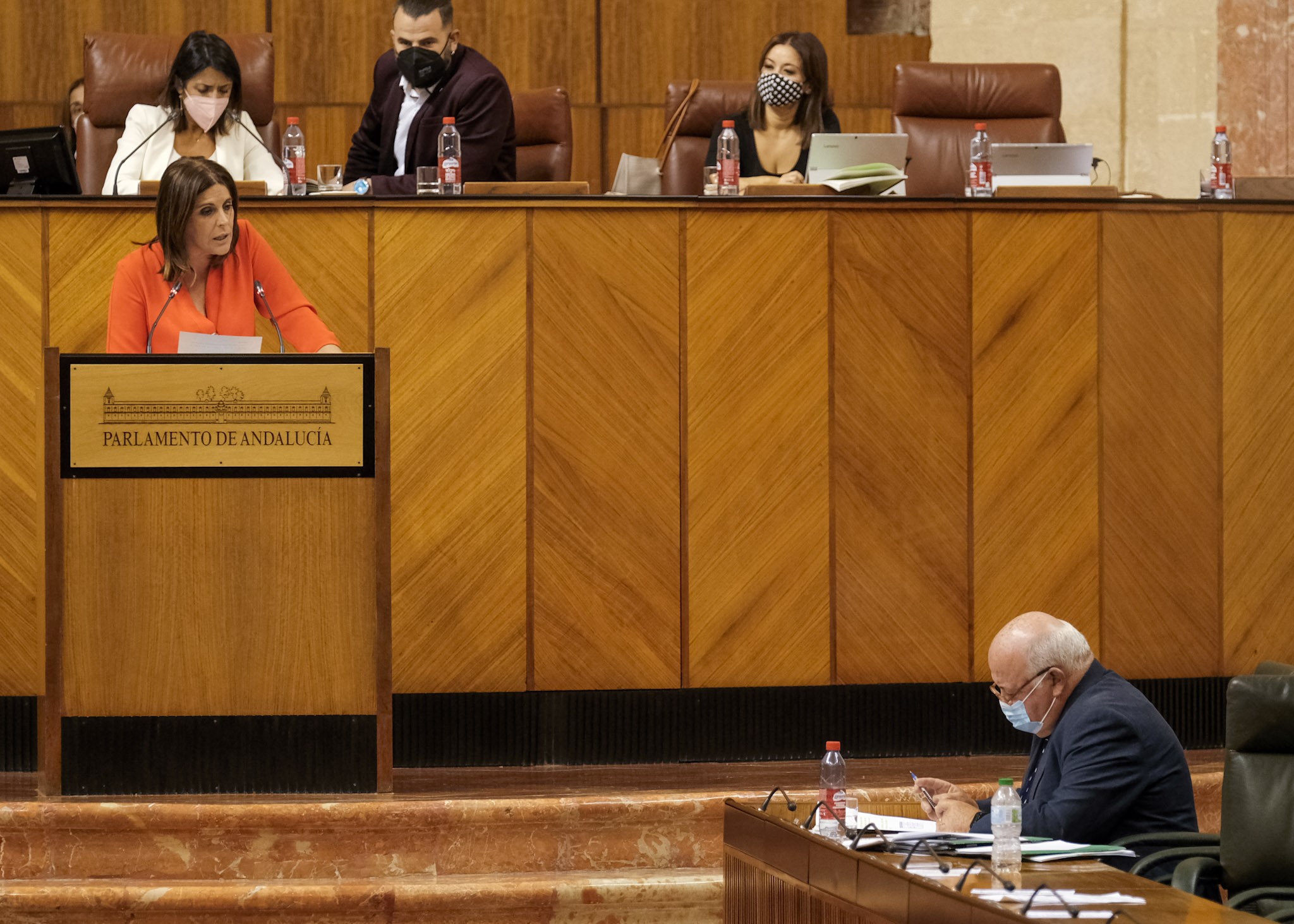  La portavoz del Grupo Socialista, ngeles Frriz, se dirige al consejero de Salud y Familias en el debate posterior a su comparecencia