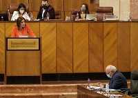  La portavoz del Grupo Socialista, ngeles Frriz, se dirige al consejero de Salud y Familias en el debate posterior a su comparecencia
