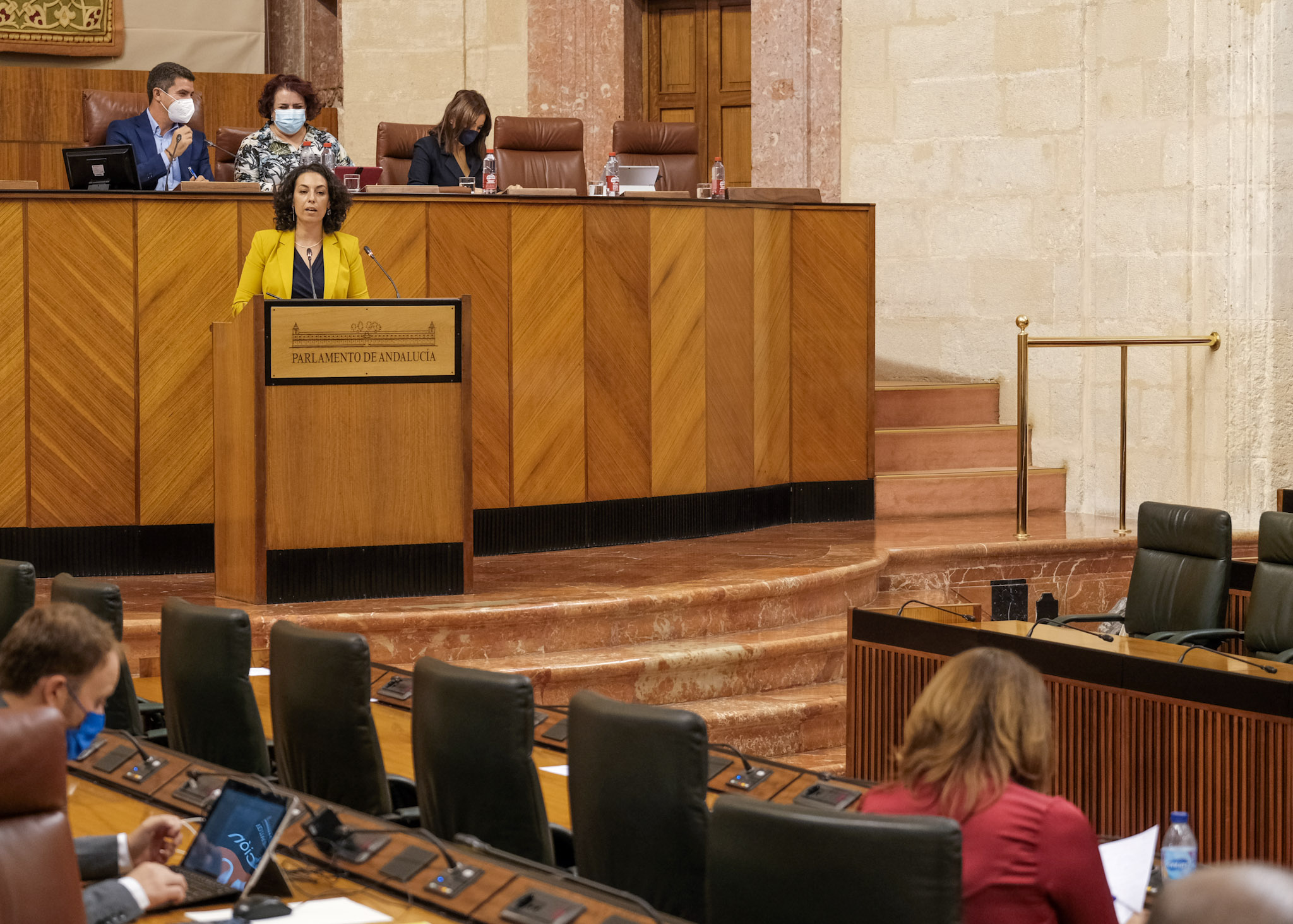  La diputada socialista María de las Mercedes Gámez dirige su interpelación a la consejera de Agricultura  