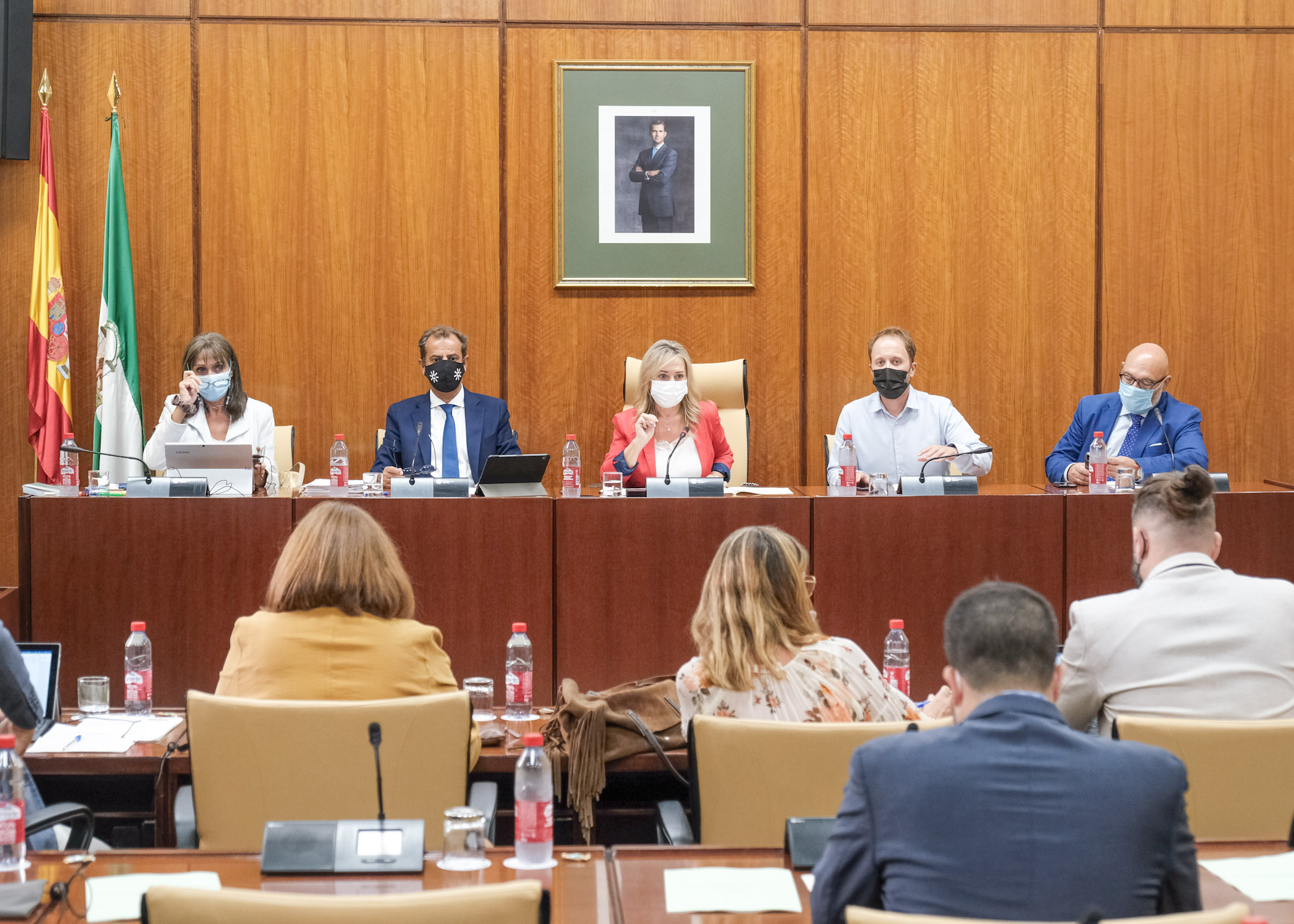  Mesa de la Comisin de la RTVA durante la comparecencia del consejero