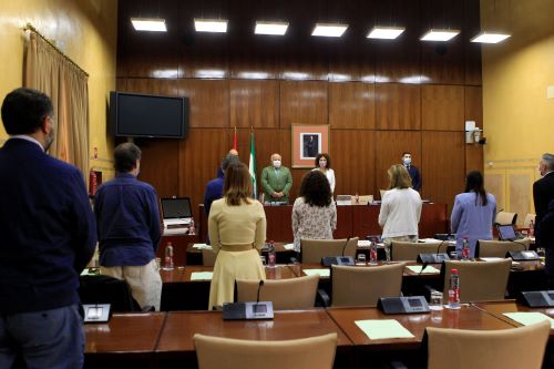 La comisin de Salud y Familias guarda un minuto de silencio por las vctimas del COVID al inicio de la sesin