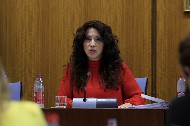  La consejera de Igualdad, Políticas Sociales y Conciliación, Rocío Ruiz, comparece en comisión 
