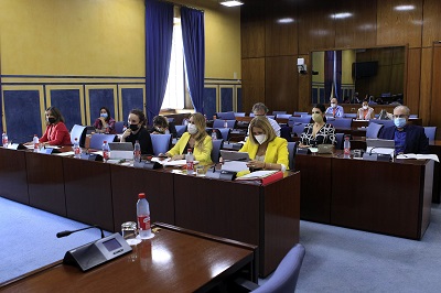 Los diputados de la Comisión de Igualdad en la sesión de esta tarde 