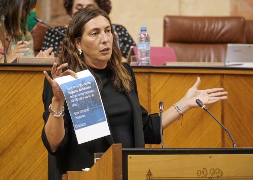  La portavoz del Grupo Popular, M. Dolores Lpez, durante su intervencin en el debate final de la proposicn de ley 