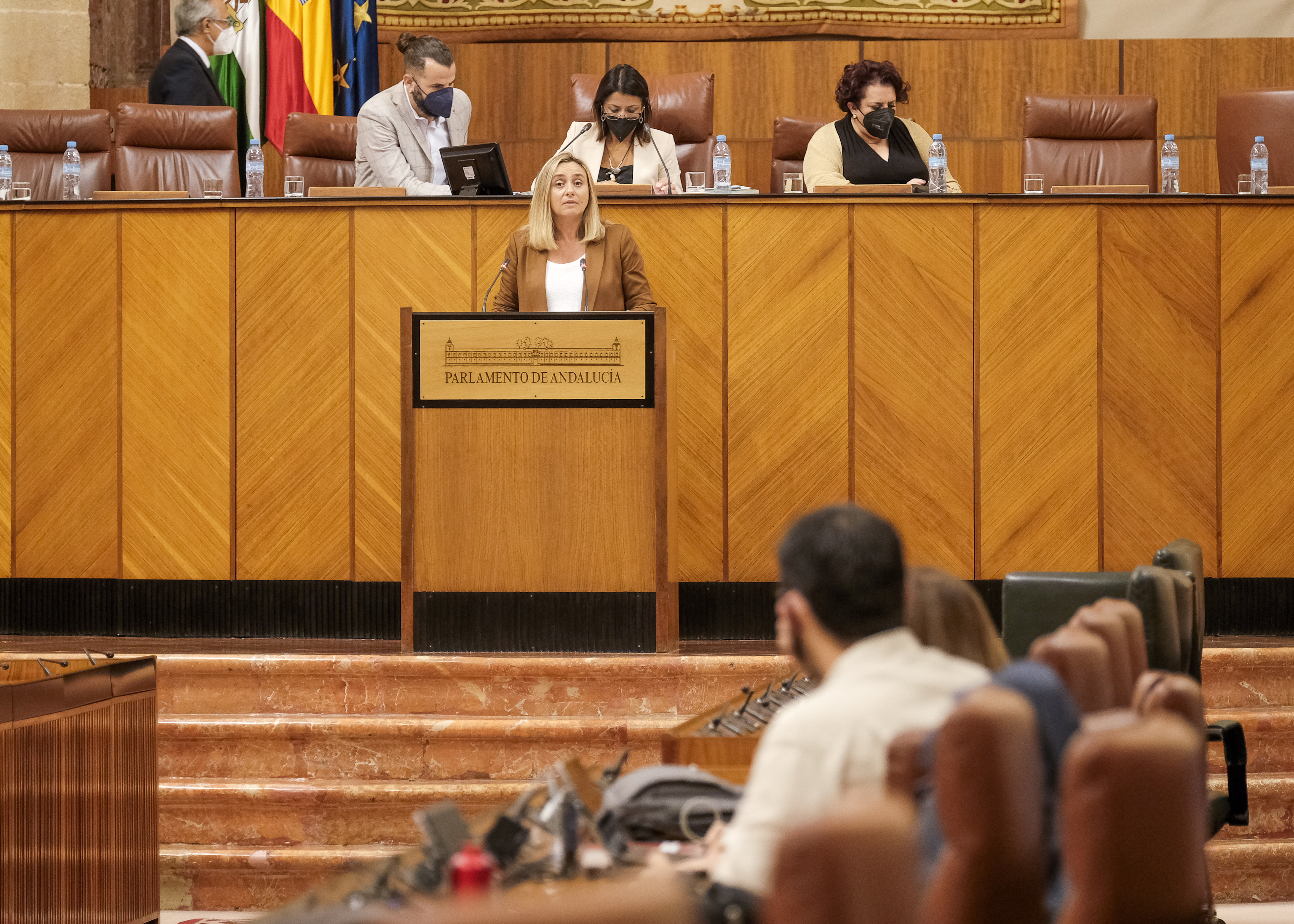 Marifrn Carazo, consejera de Fomento, durante su intervencin 