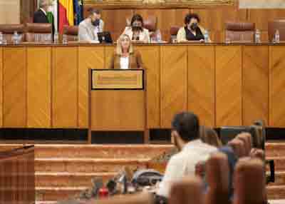 Marifrn Carazo, consejera de Fomento, durante su intervencin 