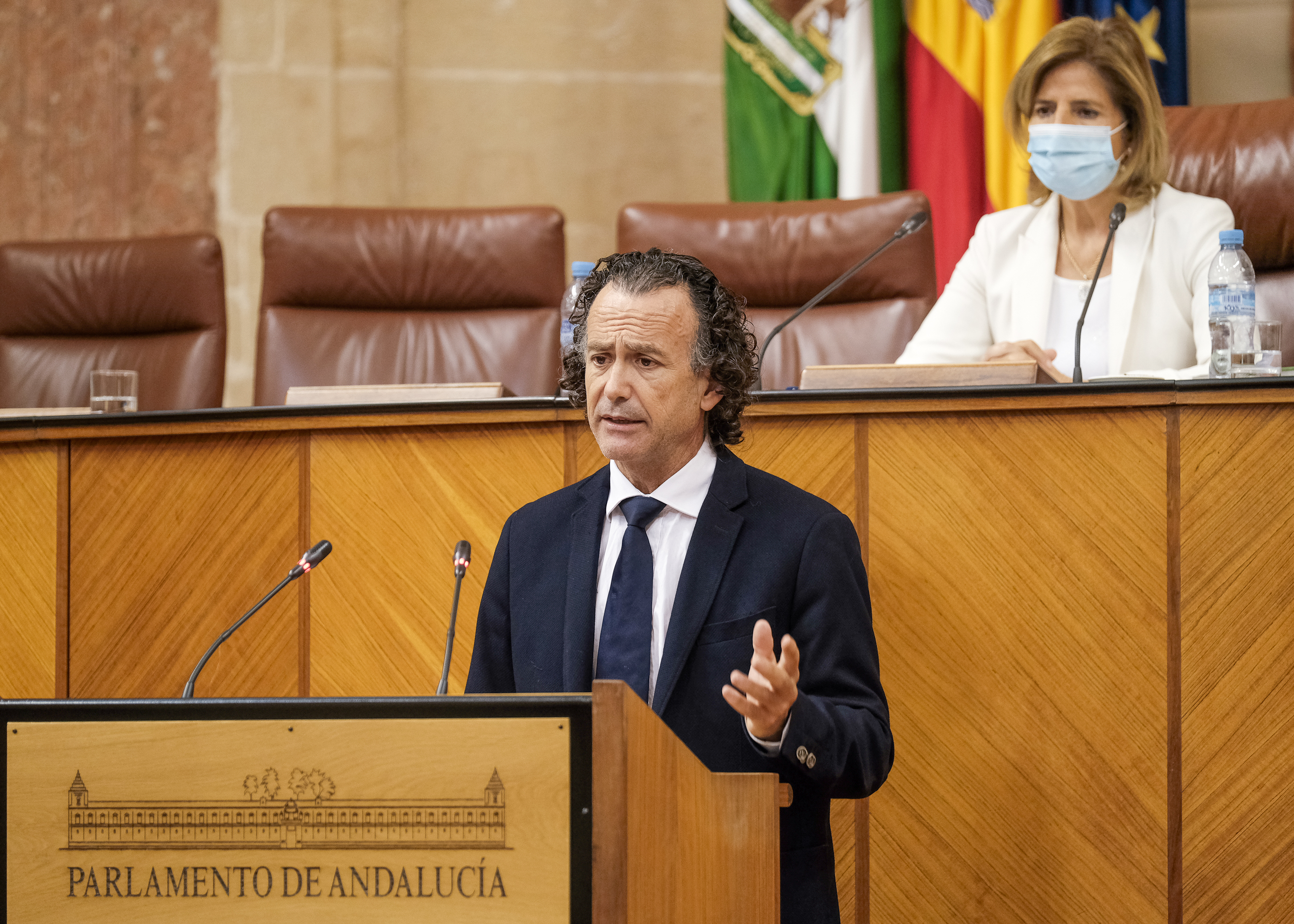 Pablo Jos Venzal, del Grupo Popular Andaluz, defiende una proposicin no de ley relativa a desarrollo de la red de infraestructura energtica justa con Andaluca