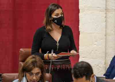  La diputada del Grupo Ciudadanos ngela Rodrguez pregunta sobre la formacin profesional para el empleo en los jvenes 
